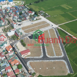 Land for sale at auction in Duc Tu, Dong Anh - 90m - MT 6m - Nice infrastructure - Price 4x _0