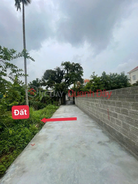 A single lot less than 900 million in Le Hong Phong Ward (old) Area 70m2 _0
