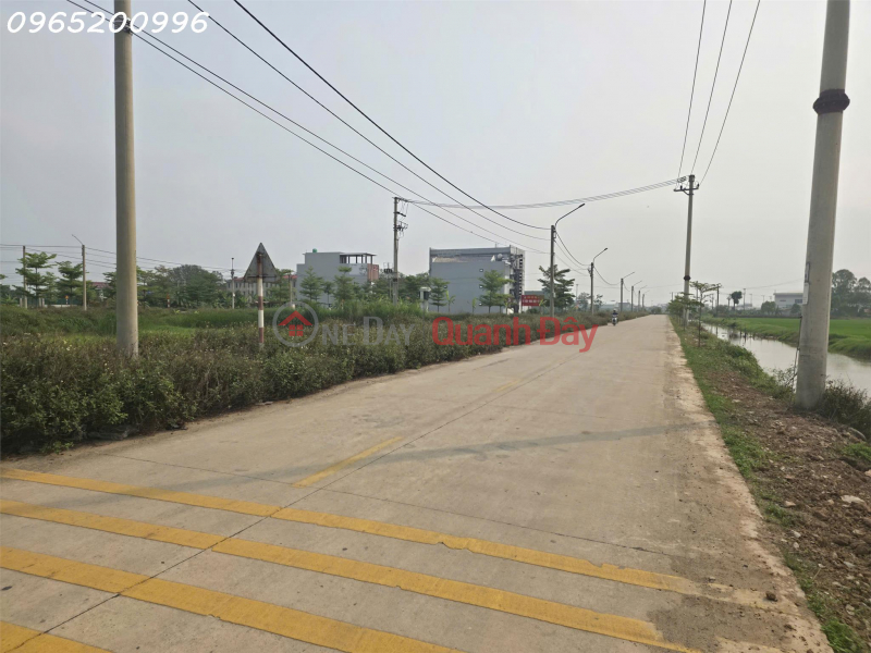 Property Search Vietnam | OneDay | Nhà ở | Niêm yết bán, Cần tiền bán nhanh lô đất mặt tiền Xã Khánh Hội, Ninh Bình, DT 173m2, giá 5,3 tỷ