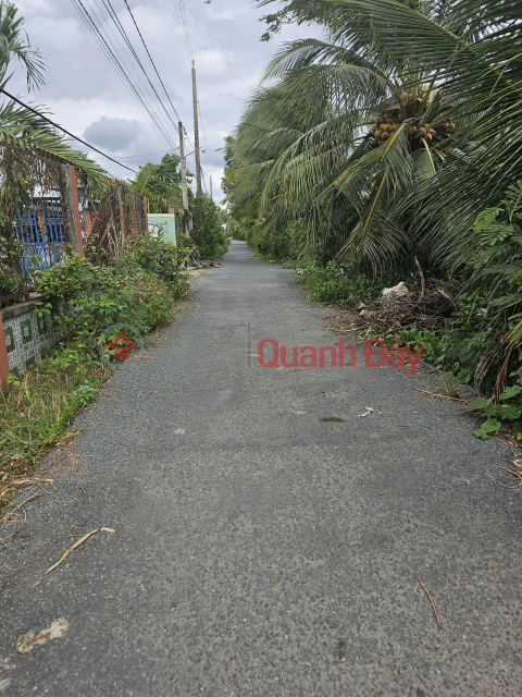 Cơ hội sở hữu đất thổ cư trung tâm An Lục Long – Châu Thành – Tây Ninh (Long An cũ) _0