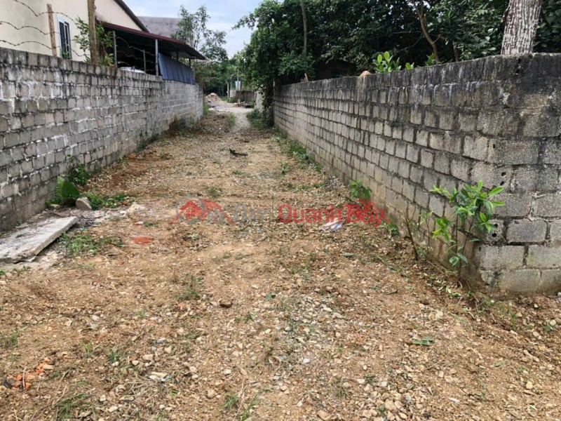 SIÊU PHẨM 1946M TẠI THỦY XUÂN TIÊN-CHƯƠNG MỸ-HÀ NỘI, Việt Nam, Bán, đ 10 triệu