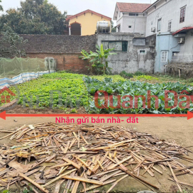 Potential residential land for sale in Village 1, Thach Da, Me Linh, Hanoi - Golden location, attractive investment price! _0