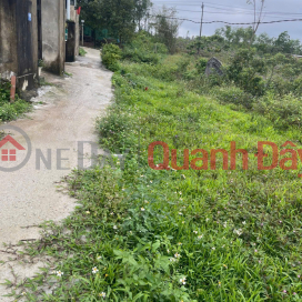 Land for sale with street frontage in Thuy Phuong. _0