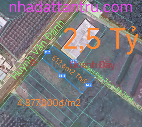 Urgent sale at low price of Tan Tru land with two frontages near Highway 50B for 2.5 billion _0