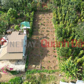 bán đất thôn 11 EaNing,Cư Kuin (BANG-453862691)_0