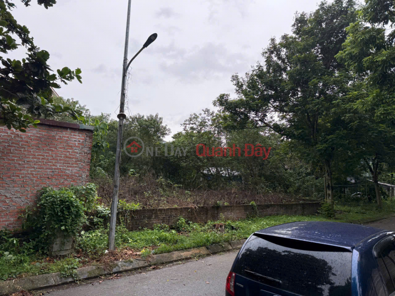 Bán đất KDT Hà Phong, Tiền Phong, Mê Linh. Gần trường DH Tài Chính và KDT Cienco 5 Niêm yết bán