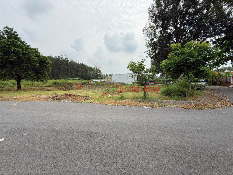 Property Search Vietnam | OneDay | Sales Listings, Residential land for sale, corner, 2 frontages, asphalt road No. 723, 10m wide