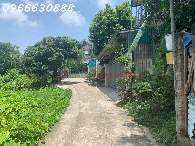 Property Search Vietnam | OneDay | Nhà ở | Niêm yết bán, Nắm Bắt Cơ Hội
Mảnh Đất TỔ 6 Phường Tân Hà Tiềm Năng Tăng Giá Trị
2 mặt tiền. diện tích 122m2, mặt tiền 5m