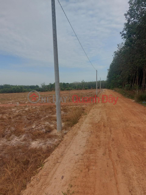 Beautiful Land - Good Price Need to sell quickly a beautiful plot of land in Chau Thanh district, Tay Ninh province _0