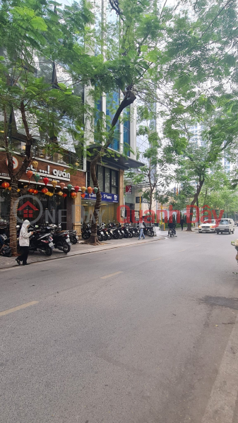 Property Search Vietnam | OneDay | Residential Sales Listings | Kim Ma Thuong street, Korean and Japanese residential area, area 120m2 - area 6m, office building