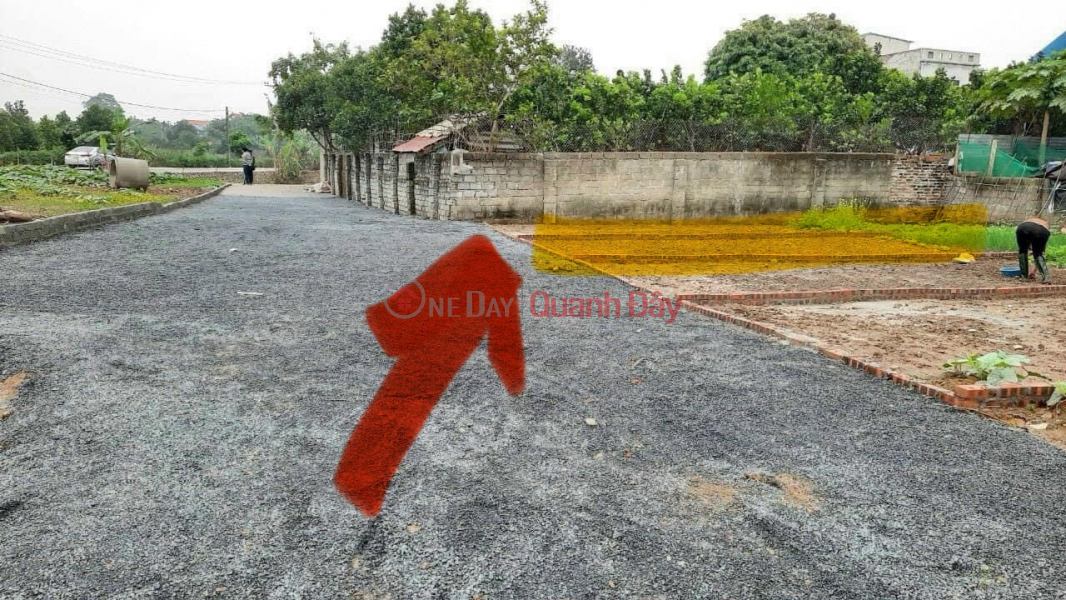 Property Search Vietnam | OneDay | Residential Sales Listings Rare Goods 39.2m Thuy Huong. Close to Chuc Son Town. Road in front of land 8m