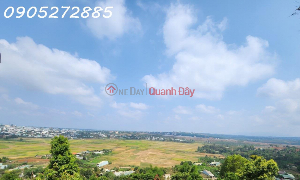 Selling square land with two frontages, airport view in Hoa Lu Ward, cheap and profitable investment Vietnam | Sales đ 970 Million