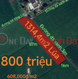 Urgent sale of two-frontage rice field in Duc Tan commune, price 800 million _0