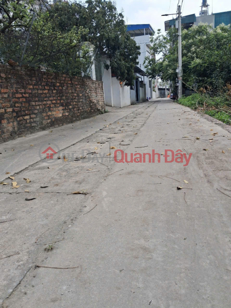 Land for sale in Ấp Tre village, group 10, Quang Minh commune, Mê Linh district. Located on a grid-patterned road network, with a 5m wide frontage. Sales Listings