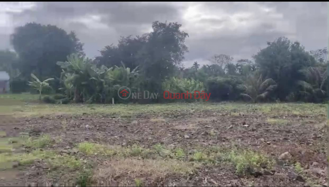 Property Search Vietnam | OneDay | Residential | Sales Listings | Selling 2 lots of land in Dien Lam commune, Dien Khanh investment price, only 50m from Huong Lo 39 street. The land has been registered