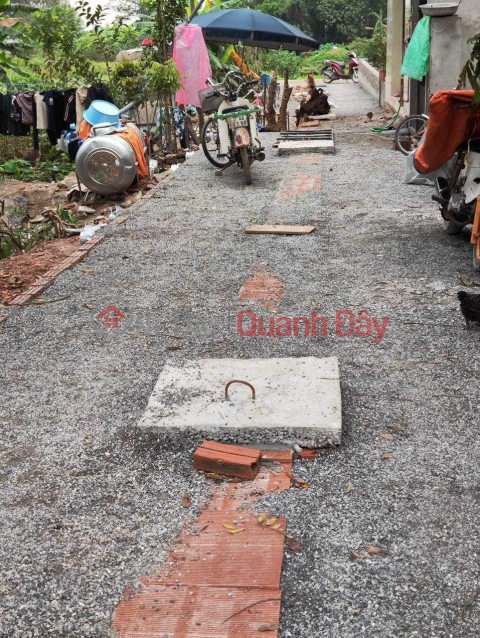The owner of the family needs to sell 2 lots of land Thanh Thuy - Thanh Hoai - Hanoi - 25 million\/m2 (negotiable) _0