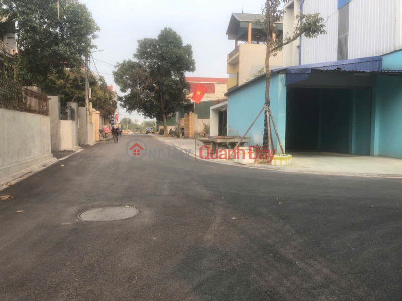 Property Search Vietnam | OneDay | Nhà ở Niêm yết bán HIẾM! ĐẤT ĐẸP - GIÁ TỐT 315M2 tại NGUYÊN KHÊ -ĐÔNG ANH - CHỈ 4XTR/M²
