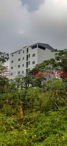 QUICK SALE this week - OWNER'S LAND, 2 street frontages, right at Hoa Lac high-tech industrial park - Thach That, Hanoi | Vietnam, Sales | đ 6.46 Billion