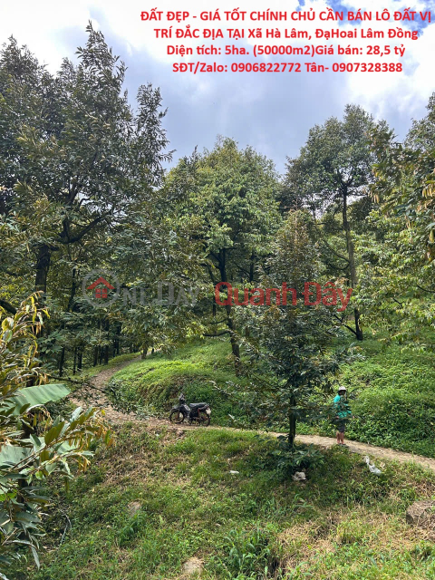 PRIME LAND FOR SALE - OWNER NEEDS TO SELL A PLOT OF LAND IN A STREET LOCATION IN HA LAM COMMUNE, DA HOAI DISTRICT, LAM DONG PROVINCE _0