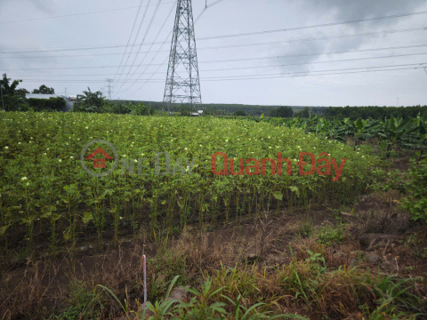 PRIME LAND – GOOD PRICE – OWNER SELLING AT Parallel Road to National Highway 20, Gia Tan 2 Commune, Thong Nhat District, Dong Nai Province _0