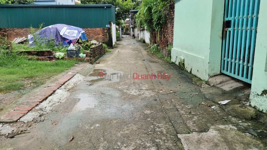 Land for sale in Dong Viet Hung village, 48m x 4.8m, large backyard, car loaded into the house, only 2.x billion TL. Contact: 0936123469 Vietnam Sales đ 2.3 Billion