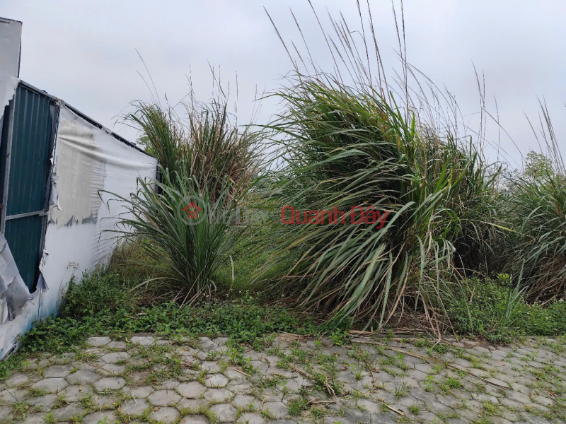 Attractive investment opportunity: 1.4 sao of land (540m²) priced at just over 1 billion Sales Listings