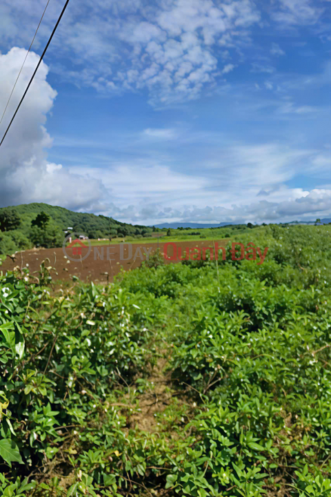 BÁN LÔ ĐẤT ĐẸP – VỊ TRÍ TRUNG TÂM ĐỨC TRỌNG – GIÁ ĐẦU TƯ _0