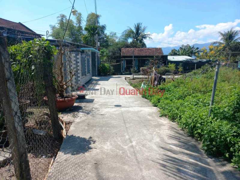 Property Search Vietnam | OneDay | Sales Listings land for sale in Dien Hoa 890 (million)