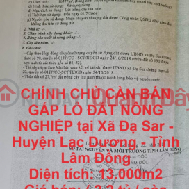 OWNER NEEDS TO SELL AGRICULTURAL LOT OF AGRICULTURAL LAND URGENTLY in Da Sar Commune - Lac Duong District - Lam Dong Province _0