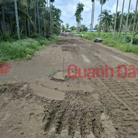 BEAUTIFUL LAND - GOOD PRICE - OWNER NEEDS TO SELL Land in Binh An Commune, Chau Thanh, Kien Giang _0