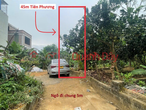 SUPER PRODUCT INVESTMENT PRICE ONLY 1.8 LAND IN TIEN PHUONG-CHUONG MY AREA: 45M2 _0