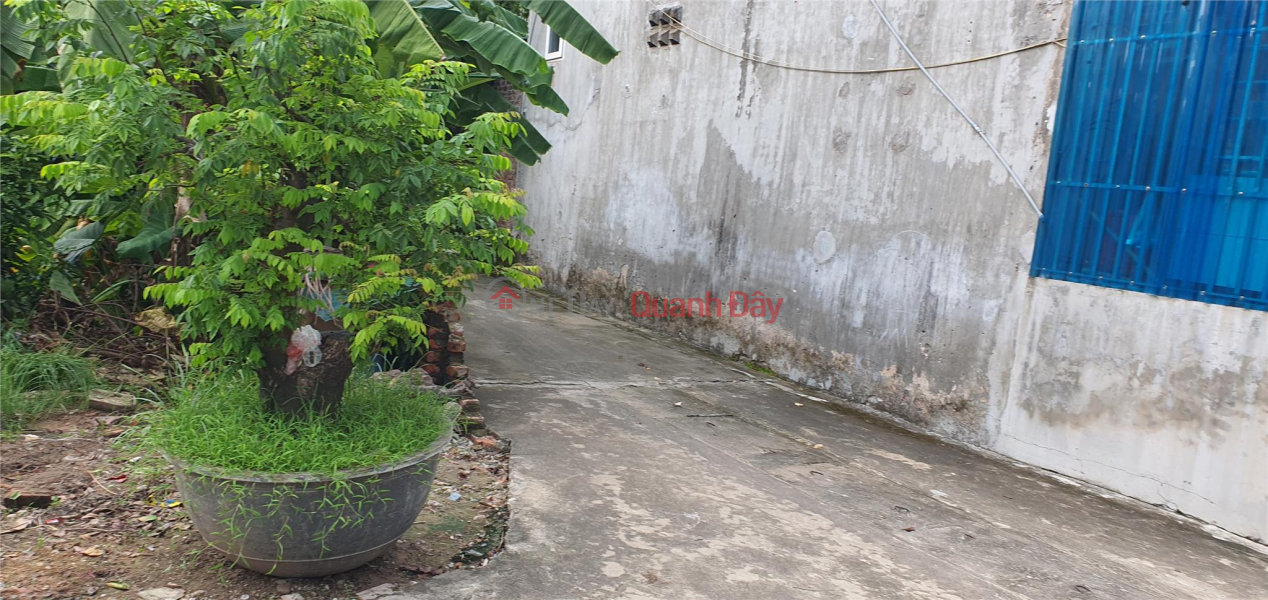 đ 30 Million | Bac Hong land is attractive in price, please go through appraisal