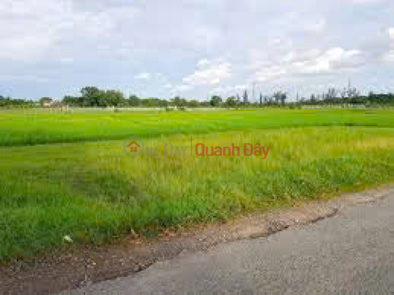 Agricultural and residential land for sale MTĐ No. 20, Lac Tanh Town, Tanh Linh District, Binh Thuan Province Sales Listings