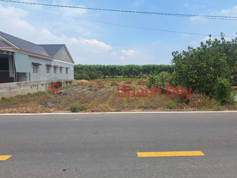 OWNER URGENTLY SELLING LARGE PLOT OF PAVED LAND INCLUDING TAXES AND FEES IN LONG CHU CENTER - BEN CAU - TAY NINH _0