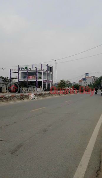 For sale corner lot 75m Duong Quang My Hao Hung Yen. Convenient and cheap transportation Sales Listings