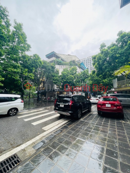 Plot with view of Co Linh flower garden 80m x 5 floors, sidewalk, car access, business Sales Listings