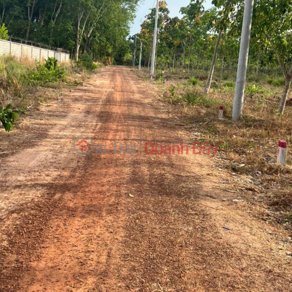 Quick sale of land by owner in Dau Tieng Binh Duong 300 m2 for only 290 million, Vietnam | Sales | đ 290 Million