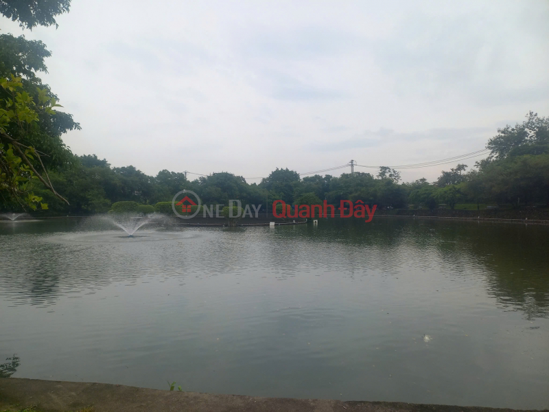 CHỈ 3 TỶ SỞ HỮU LÔ ĐẤT NỞ HẬU - OTO 5 CHỖ VÀO TẬN CỬA NGAY CỔ LOA ĐÔNG ANH | Việt Nam | Bán, đ 3 tỷ