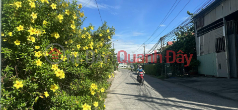 Land lot on Huynh Thuc Khang street, Dien Toan, Dien Khanh. Selling price 16.5 million\/m2! _0