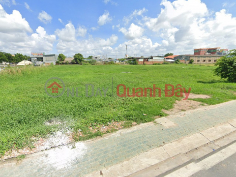 Shocking Discount 34 billion! Land with frontage of 10m, 5393m2 - Canal T2 Hoc Mon SS _0