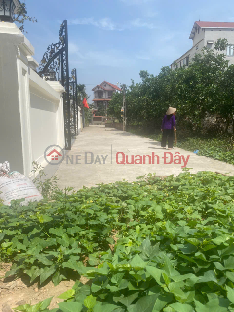 I need to quickly sell land in Trang Viet, Me Linh, Hanoi - I am the owner _0