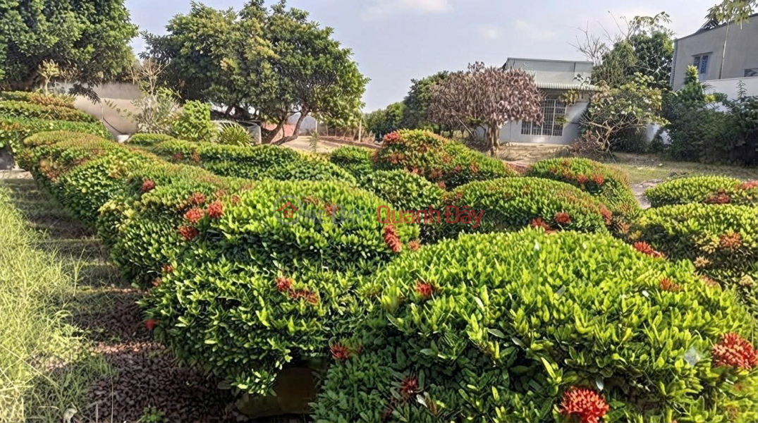 HOUSE IN A PRIME LOCATION - OWNER SELLING Vacation Home in Long Dien, BR-VT (Long Dien Commune, Ho Chi Minh City),Vietnam Sales, đ 3.2 Billion