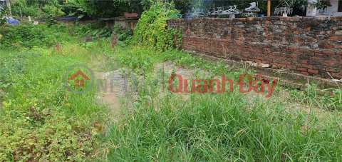 Beautiful land in Dong Anh near Vo Nguyen Giap street 100m2 _0