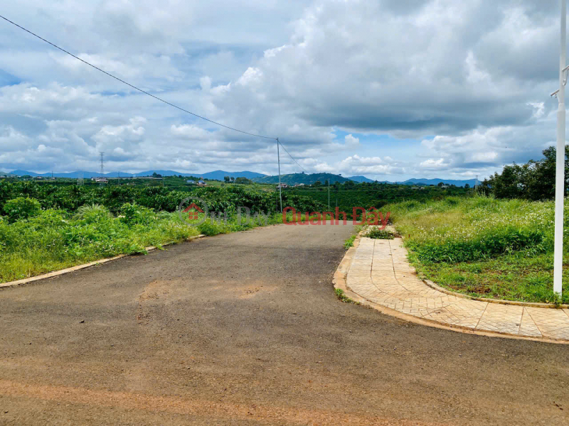 đ 3.2 Billion GOOD PRICE - OWNER Needs to Sell Land Plot Quickly in Di Linh District, Lam Dong Province