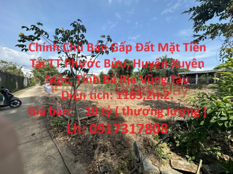 Owner Urgently Sells Land Frontage at Phuoc Buu Town, Xuyen Moc District, Ba Ria Vung Tau Province _0