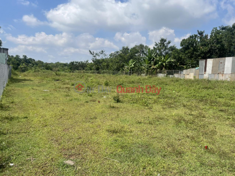 Quick Sale 2 Adjacent Land Lot Super Prime Location In City. Long Khanh, Dong Nai Province., Vietnam | Sales, đ 540 Million