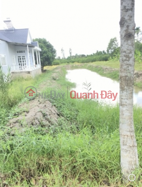 BEAUTIFUL LAND - GOOD PRICE - Own a Land Lot Prime Location In Chau Thanh A - Hau Giang | Vietnam, Sales | đ 2 Billion