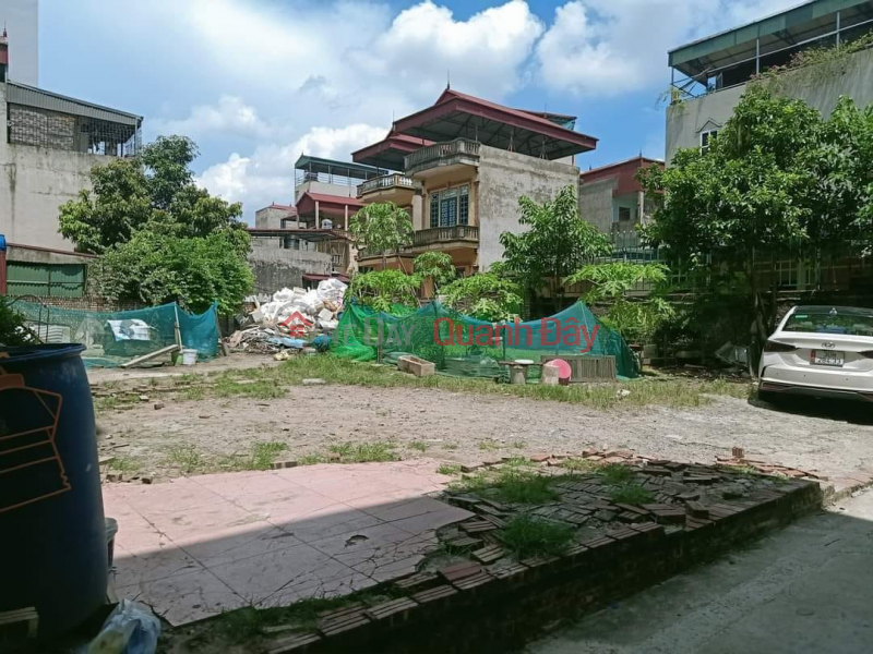 LAND FOR SALE IN THACH BAN CENTER (LONG BIEN) 296 M2_LOT INVESTMENT_BUILD A VILLA_OFFICE_HOTEL_1 RADIATION Sales Listings