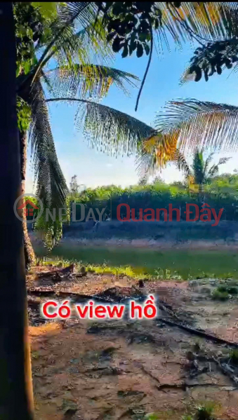 ĐẦU TƯ LÀ SINH LỜI - CHÍNH CHỦ CẦN BÁN ĐẤT VIEW NHÀ YẾN – Xã Trà Tân, Bình Thuận Niêm yết bán
