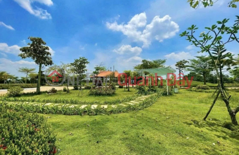 Cần chuyển nhượng gấp 4 huyệt mộ tiêu chuẩn tại Bồng Lai Viên - Đức Hòa, Long An _0